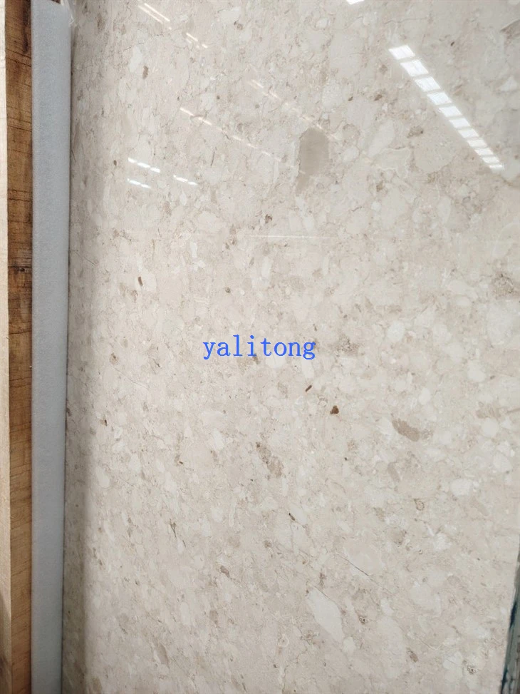 Montage Beige Marble Tiles